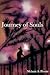Journey of Souls