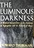 The Luminous Darkness: A Personal Interpretation of the Anatomy of Segregation and the Ground of Hope