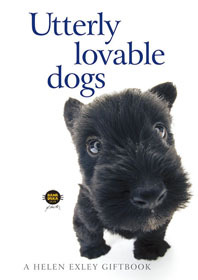 Utterly Lovable Dogs