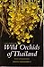 A  Field Guide to the Wild Orchids of Thailand