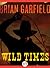 Wild Times by Brian Garfield