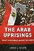 The Arab Uprisings by James L. Gelvin