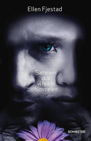 Sammen skal vi holde himmelen (Hardcover)