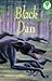 Black Dan (Oxford Reading T...
