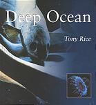 Deep Ocean (Paperback)