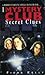 Secret Clues (The Mystery C...