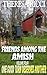 One Good Turn Deserves Another (Friends Among The Amish #4)