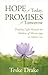 Hope for Today, Promises for Tomorrow: Finding Light Beyond the Shadow of Miscarriage or Infant Loss