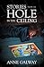 Stories from the Hole in the Ceiling by Anne Galway