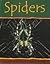 Spiders