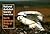 National Audubon Society Po...
