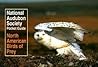 National Audubon Society Pocket Guide to North American Birds of Prey (National Audubon Society Pocket Guides)