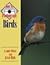 How to Photograph Birds