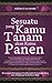 Sesuatu Yang Kamu Tanam Akan Kamu Panen by Mahmud Al-Mishri
