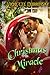 Christmas Miracle by Violette Dubrinsky Christmas Miracle by Violette Dubrinsky