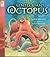 Gentle Giant Octopus