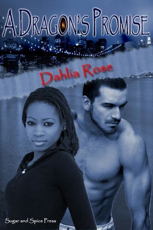 A Dragon's Promise (The Paladin Dragons Book 1)