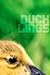 Ducklings