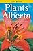 Plants of Alberta: Trees, Shrubs, Wildflowers, Ferns, Aquatic Plants & Grasses