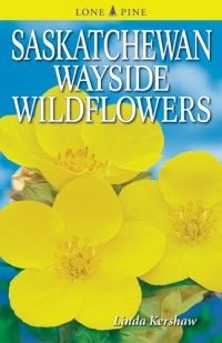 Saskatchewan Wayside Wildflowers