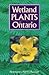 Wetland Plants of Ontario