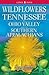 Wildflowers of Tennessee, the Ohio Valley and the Southern Ap... by Dennis Horn