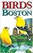 Birds of Boston