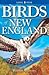 Birds of New England