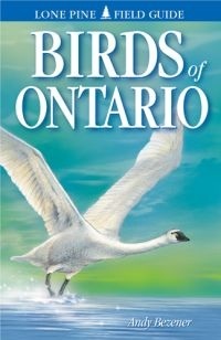 Birds of Ontario (Paperback)