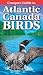 Compact Guide to Atlantic Canada Birds by Roger Burrows