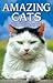 Amazing Cats: Stories of Intuition, Compassion, Mystery and Extraordinary Feats