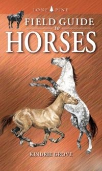 Field Guide to Horses (Paperback)