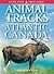 Animal Tracks of Atlantic C...