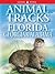 Animal Tracks of Florida, Georgia and Alabama