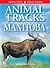 Animal Tracks of Manitoba