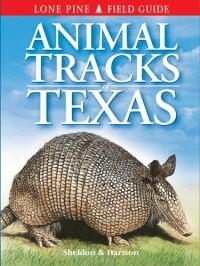 Animal Tracks of Texas