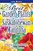 Best Garden Plants for Saskatchewan and Manitoba