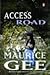 Access Road