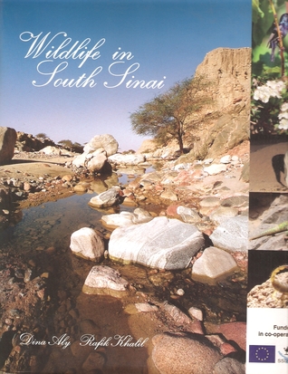 Wildlife in South Sinai (Hardcover)