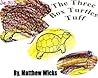 The Three Box Turtles Tuff by Matthew J. Wicks