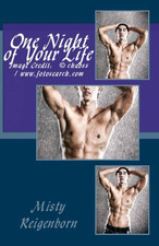 One Night of Your Life