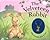 Velveteen Rabbit by Margery Williams Bianco