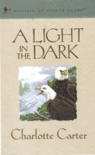 A Light in the Dark (Mysteries of Sparrow Island, #13)