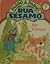 No Campo (Passo a Passo com...