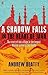 A Shadow Falls by Andrew Beatty