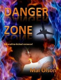 Danger Zone (Kindle Edition)