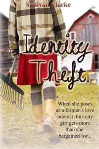 Identity Theft (Kindle Edition)