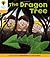 The Dragon Tree (Magic Key)