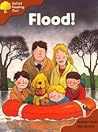 Flood by Roderick Hunt