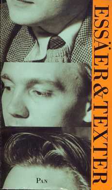 Essäer och andra texter (Paperback)